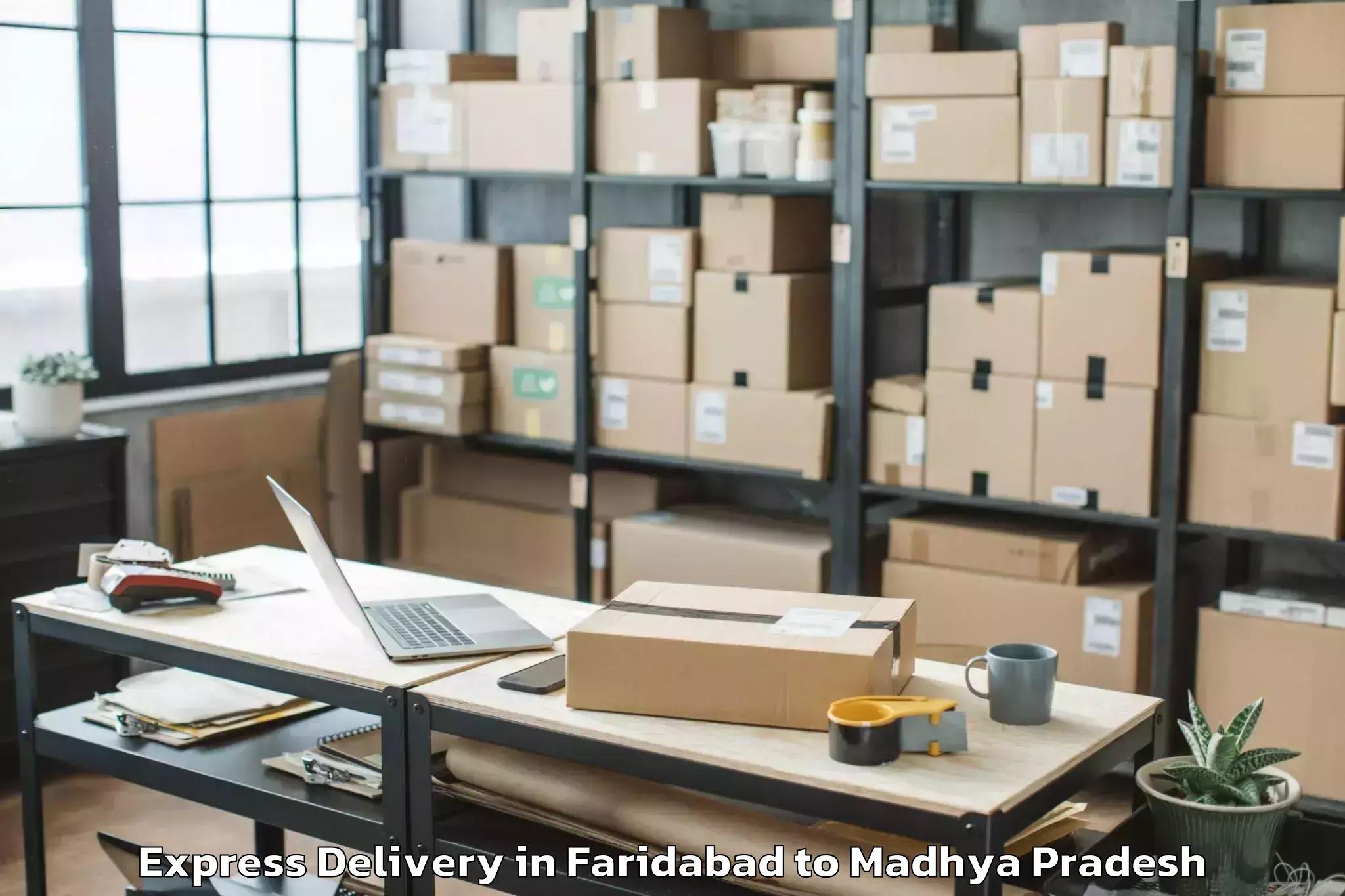 Easy Faridabad to Neemuch Express Delivery Booking